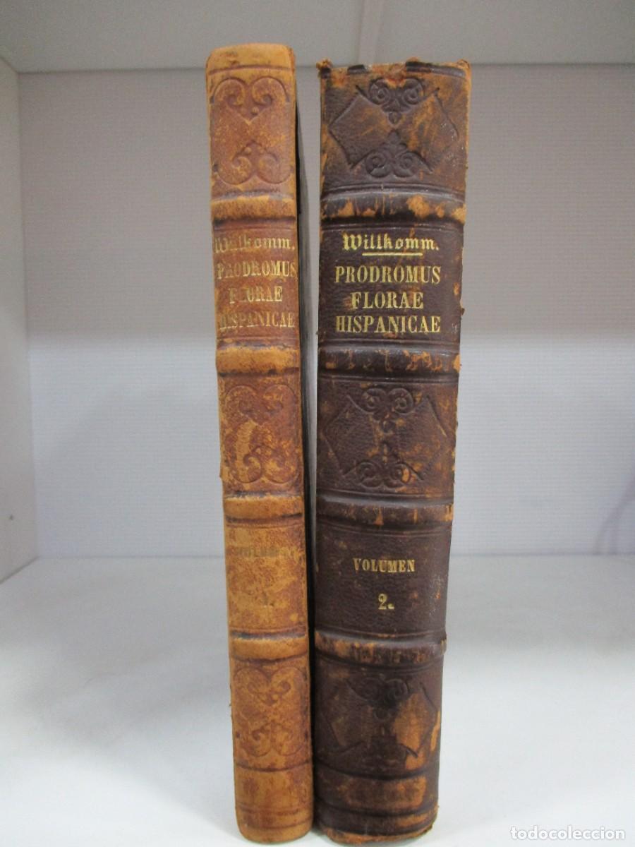 Libros antiguos: PRODROMUS FLORAE HISPANICAE VOLUMEN I 1861 Y VOLUMEN II 1870 - MAURITIO WILLKOMM