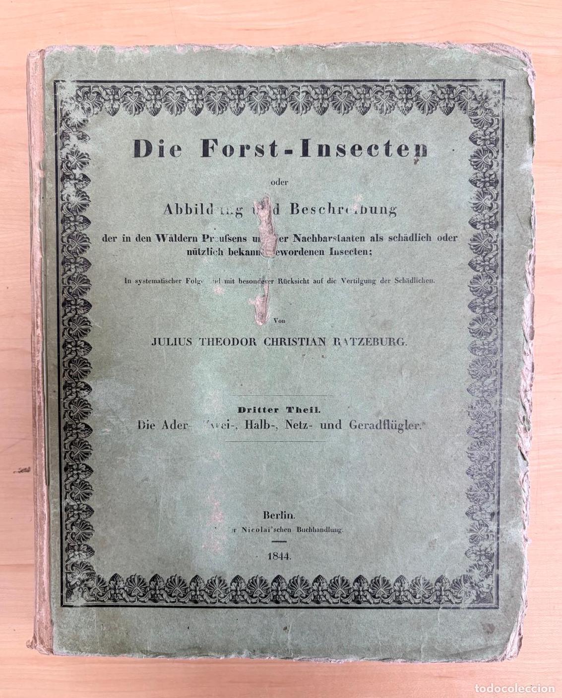 Libros antiguos: RATZEBURG. DIE FORST-INSECTEN. TERCERA PARTE ILUSTRADA DE ENTOMOLOG&Iacute;A FORESTAL. 1844