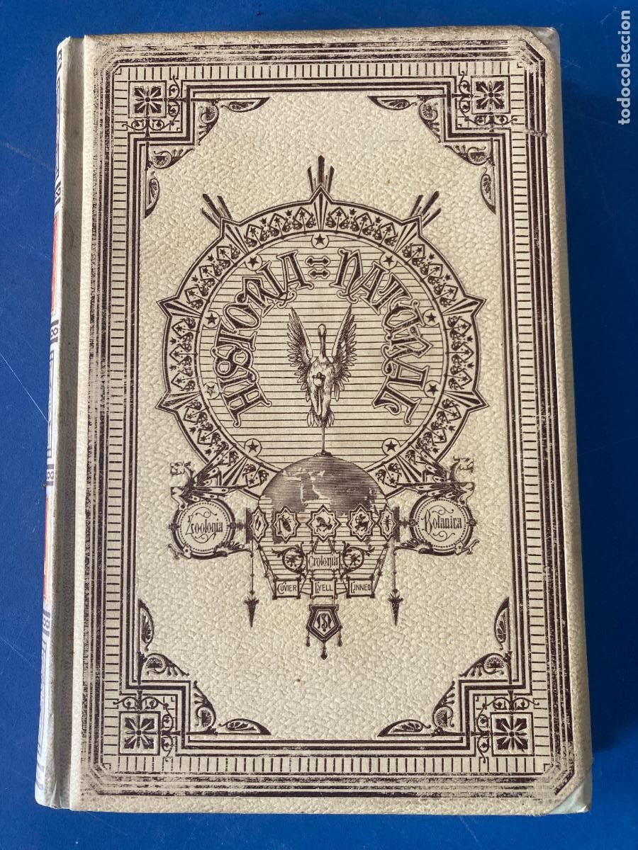 Libros antiguos: HISTORIA NATURAL, TOMO 1, ANTROPOLOGIA - MONTANER Y SIMON 1891
