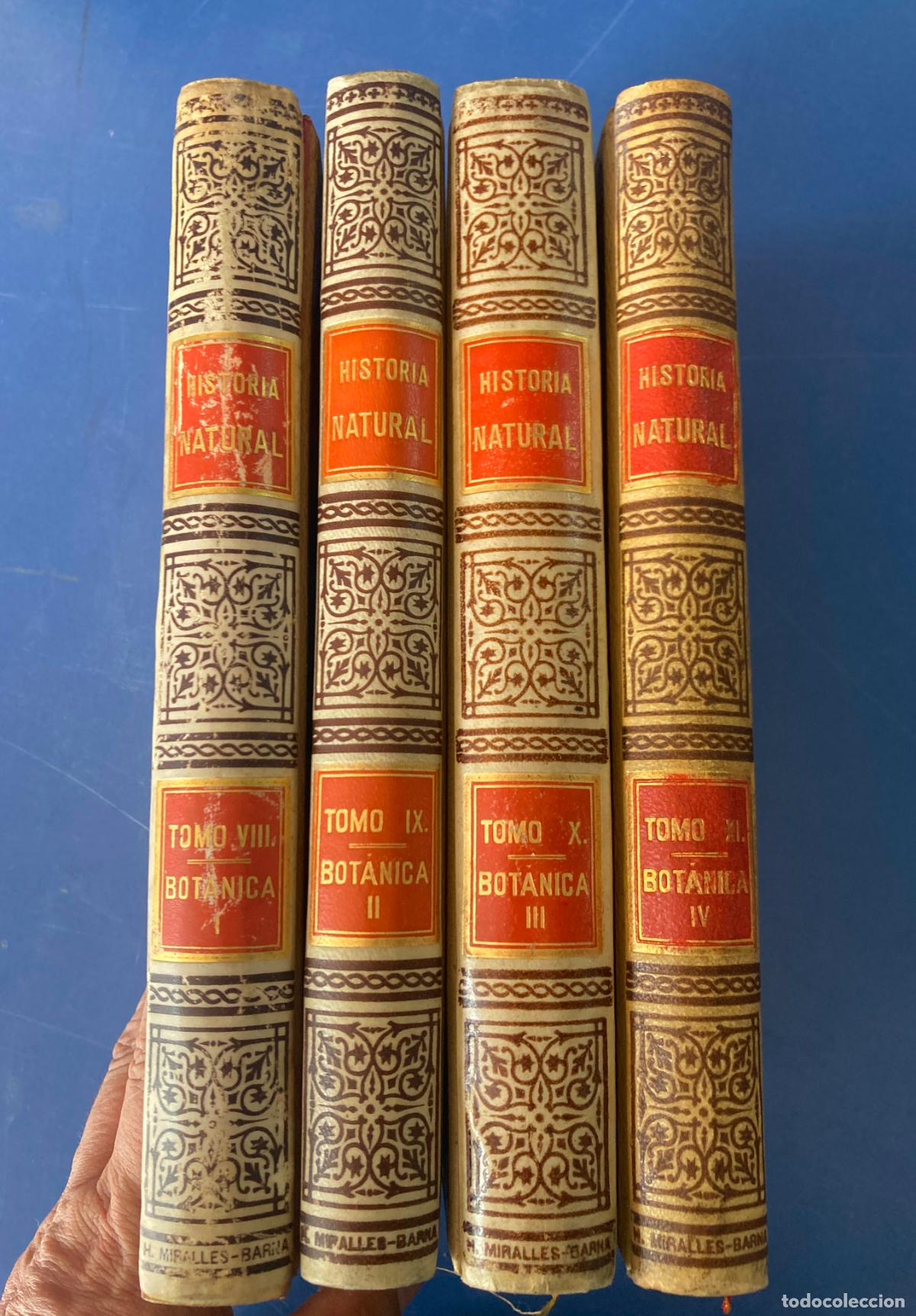 Libros antiguos: HISTORIA NATURAL, 4 TOMOS, BOTANICA COMPLETA - MONTANER Y SIMON 1891/4