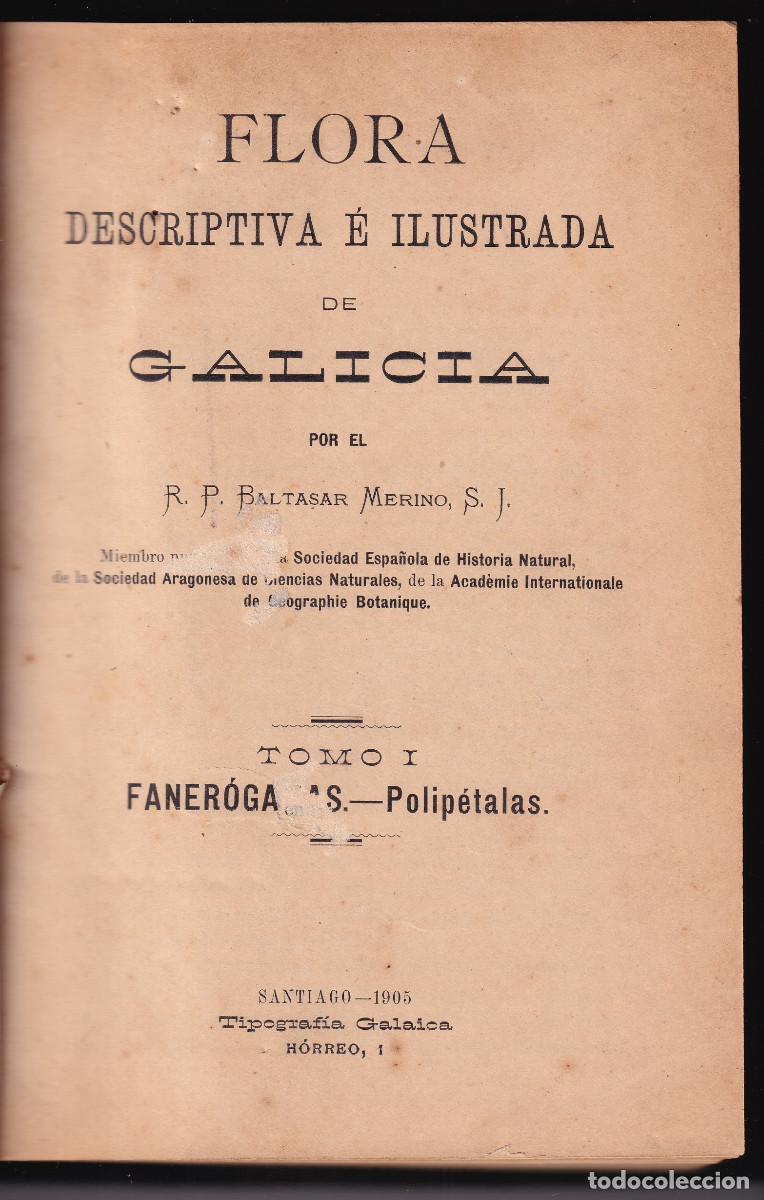 Libros antiguos: BALTASAR MERINO, S. J.: FLORA DESCRIPTIVA DE GALICIA. TOMO I: FANER&Oacute;GAMAS. POLIP&Eacute;TALAS. 1905