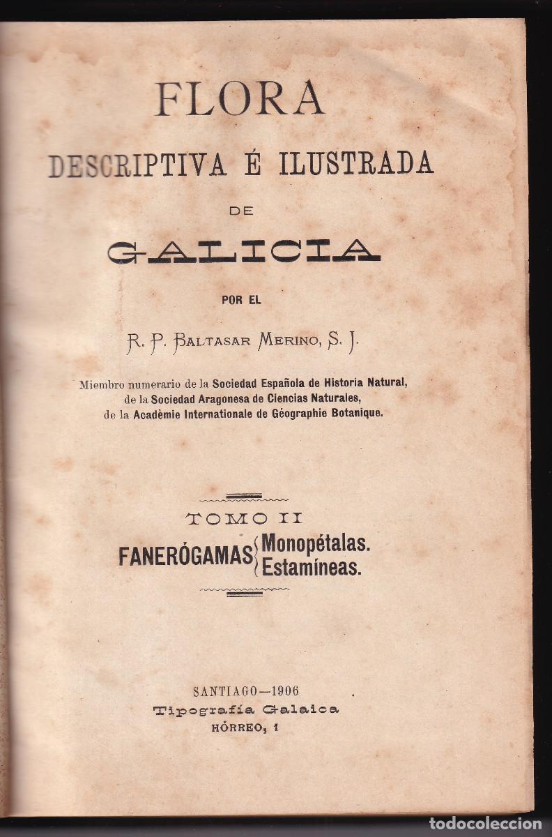 Libros antiguos: BALTASAR MERINO: FLORA DESCRIPTIVA DE GALICIA. TOMO II: FANER&Oacute;GAMAS. POLIP&Eacute;TALAS. ESTAM&Iacute;NEAS. 1906