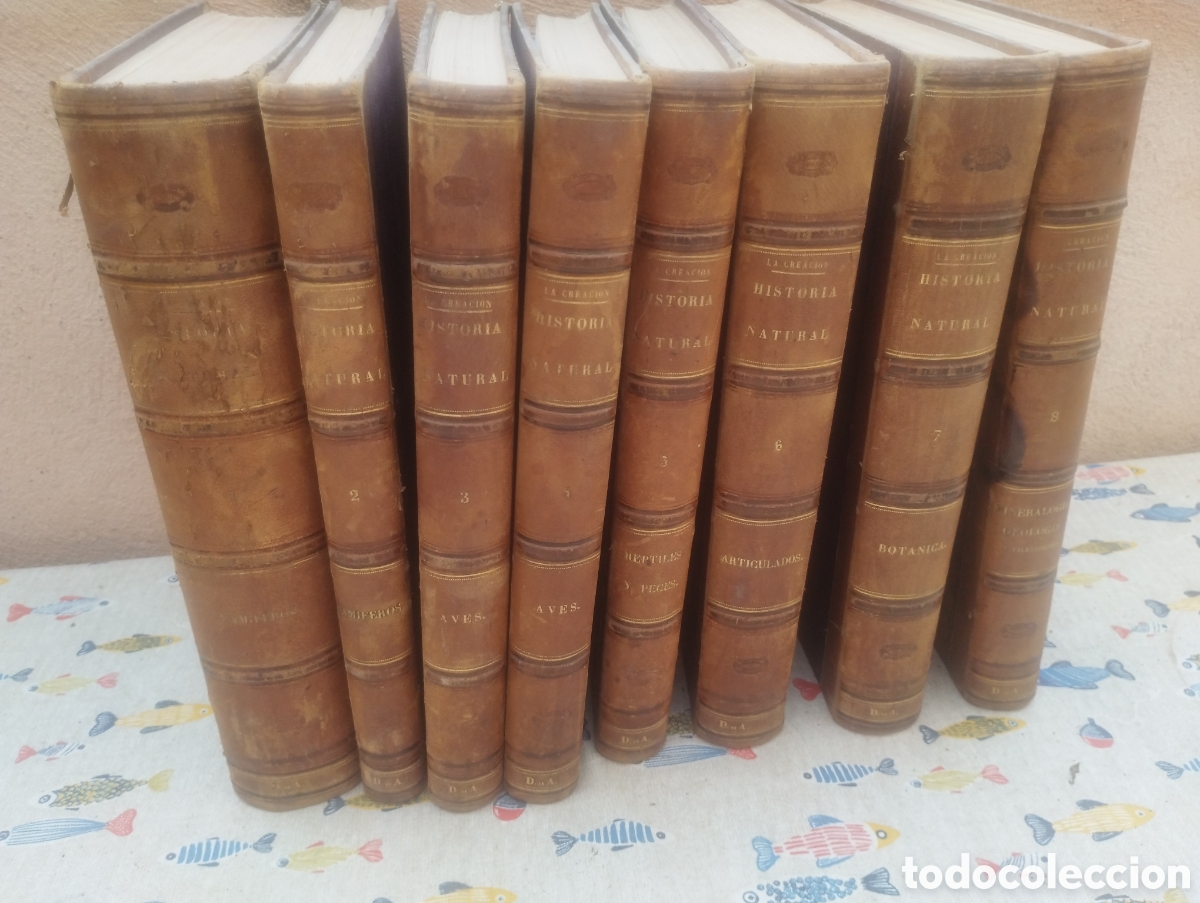 Libros antiguos: Historia Natural 8 tomos completa Muntaner y Simon editores a&ntilde;o 1875 con muchisimas laminas