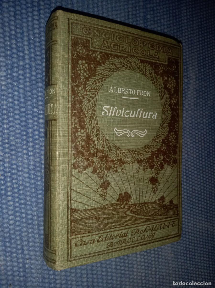 Libros antiguos: Tratado de Silvicultura