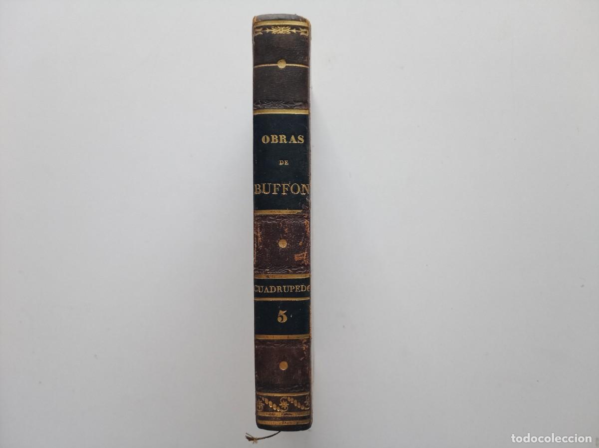 Libros antiguos: OBRAS COMPLETAS DE BUFFON. CUADRUPEDOS V. BARCELONA 1833.