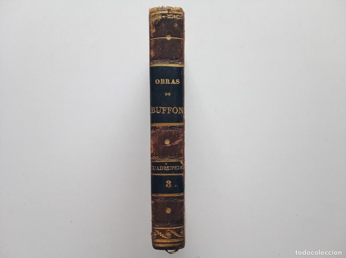 Libros antiguos: OBRAS COMPLETAS DE BUFFON. CUADRUPEDOS III. BARCELONA 1832.