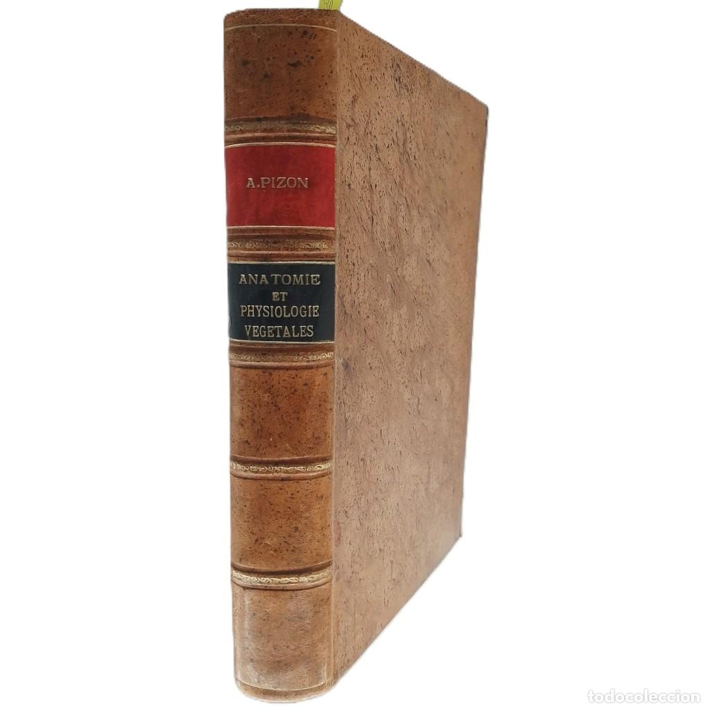 Libros antiguos: ANATOMIE ET PHYSIOLOGIE VEGETALES. Pizon, Antoine