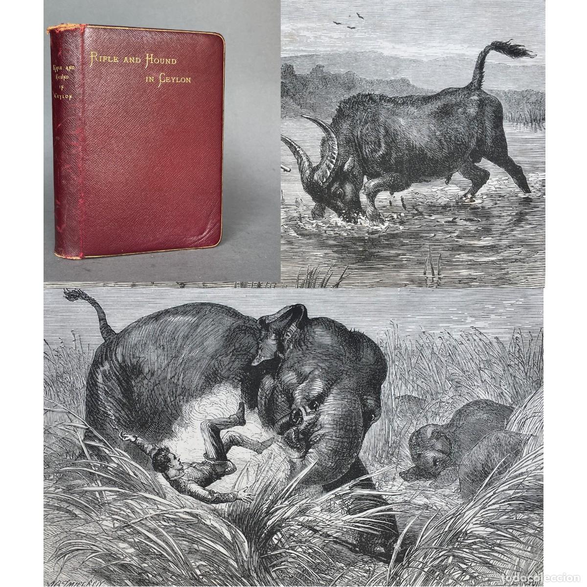 Libros antiguos: A&ntilde;o 1892 - THE RIFLE AND THE HOUND IN CEYLON - Caza mayor - Sir Samuel W. Baker