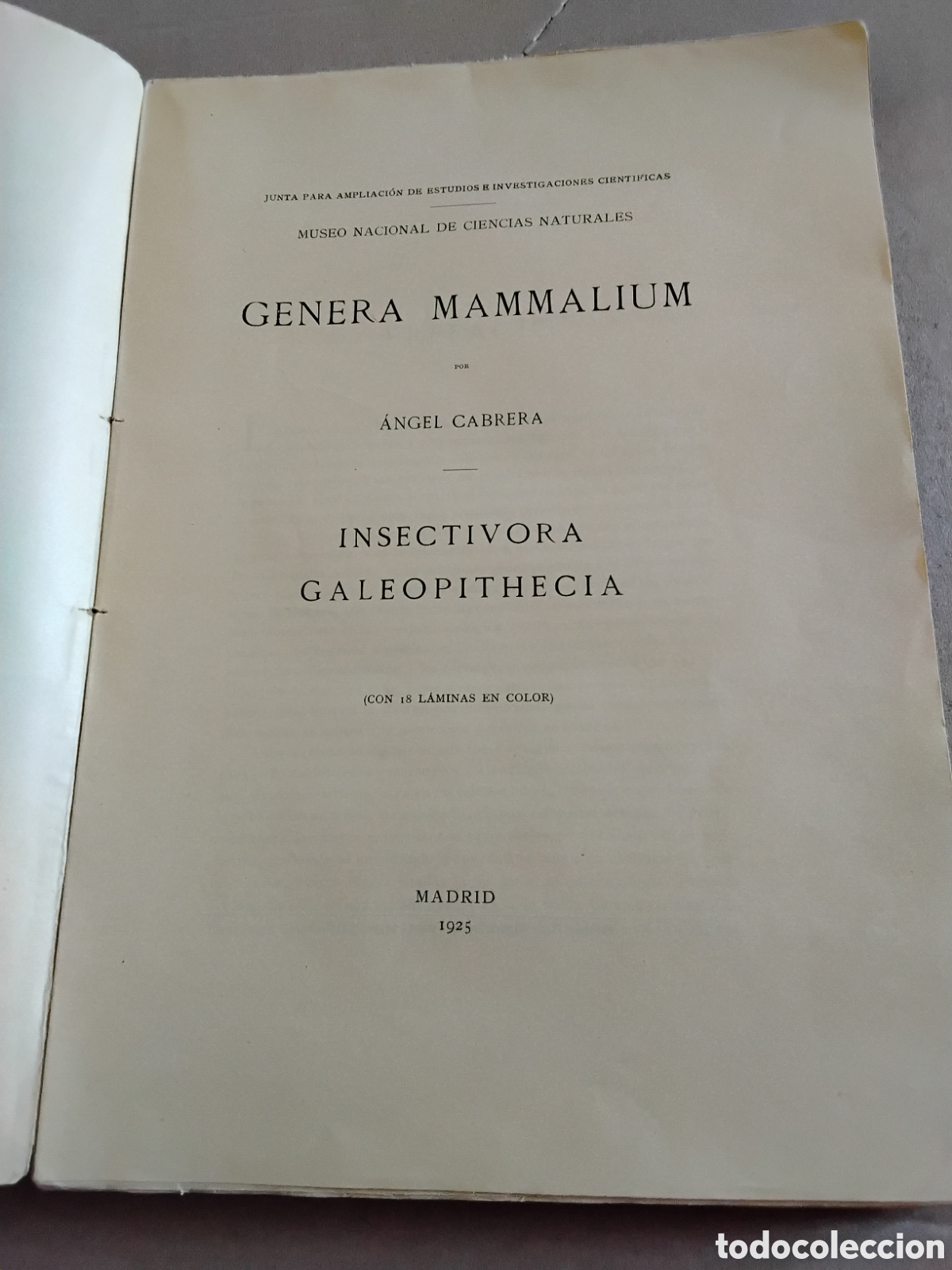 Libros antiguos: GENERA MAMMALIUM. INSECTIVORA GALEOPITHECIA. &Aacute;NGEL CABRERA. 1925 - Foto 4