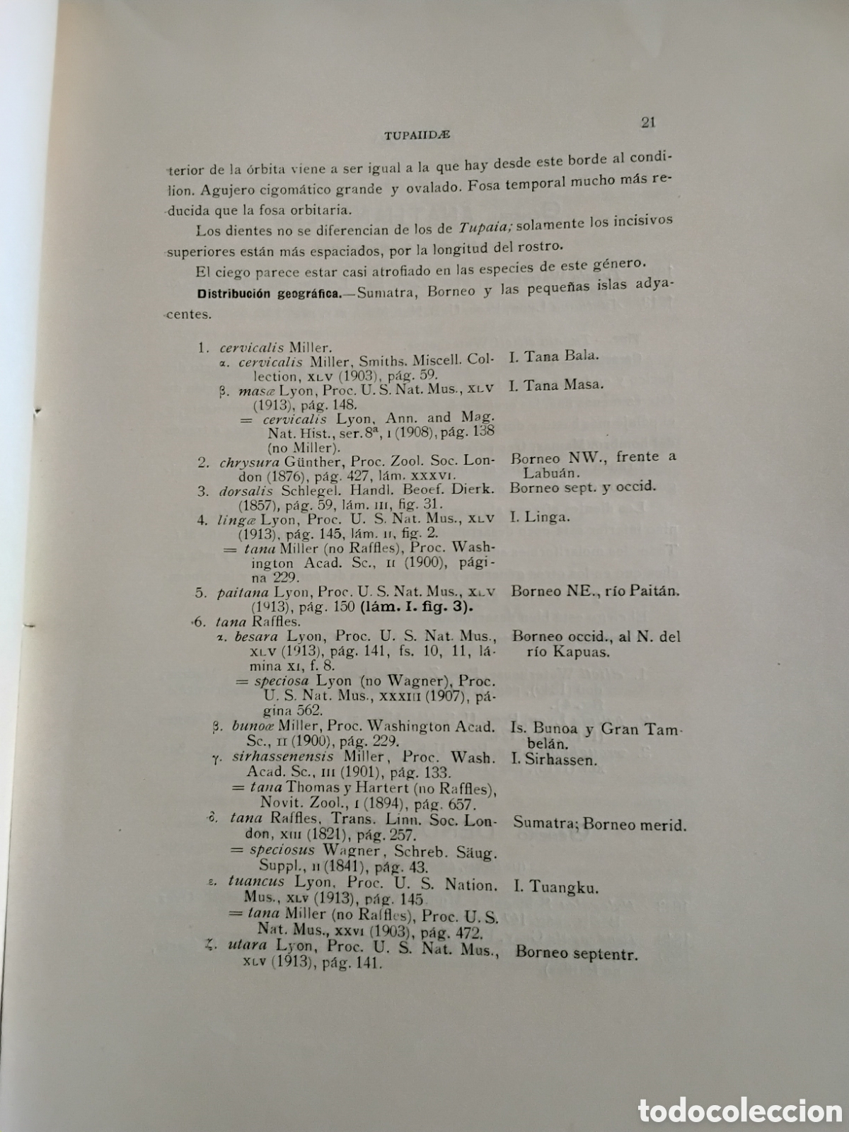 Libros antiguos: GENERA MAMMALIUM. INSECTIVORA GALEOPITHECIA. &Aacute;NGEL CABRERA. 1925 - Foto 6