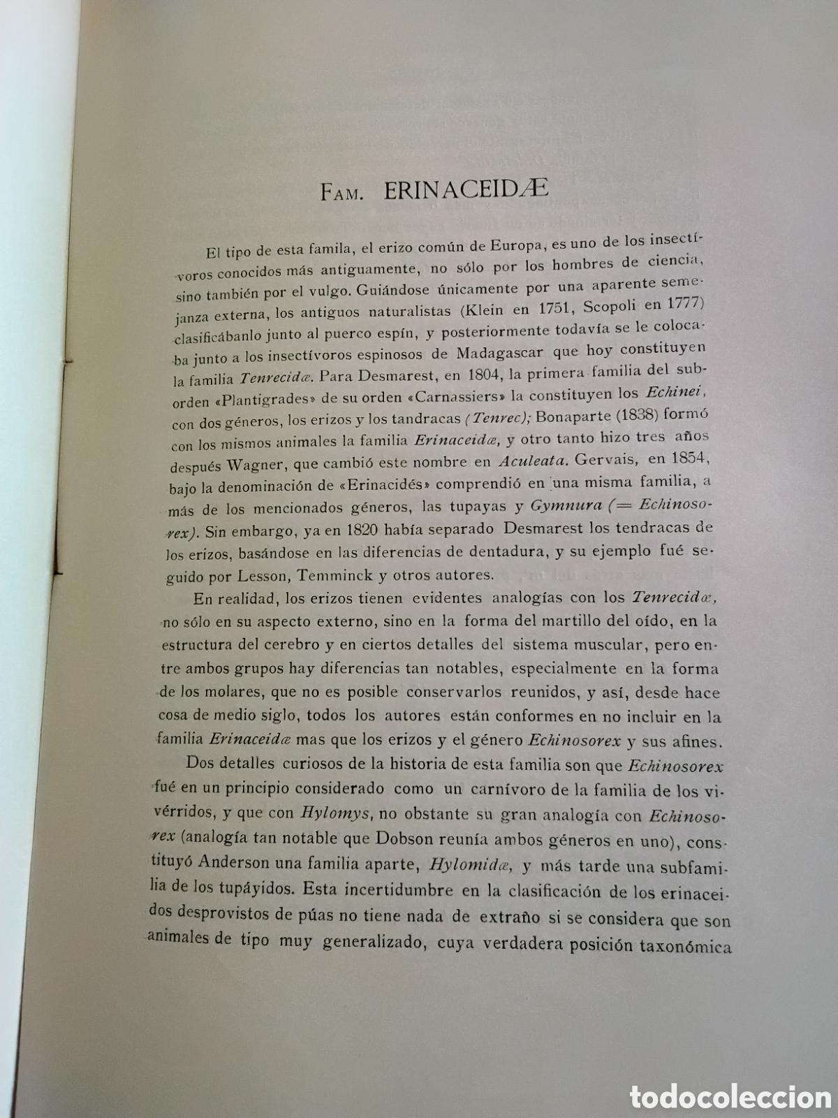 Libros antiguos: GENERA MAMMALIUM. INSECTIVORA GALEOPITHECIA. &Aacute;NGEL CABRERA. 1925 - Foto 7