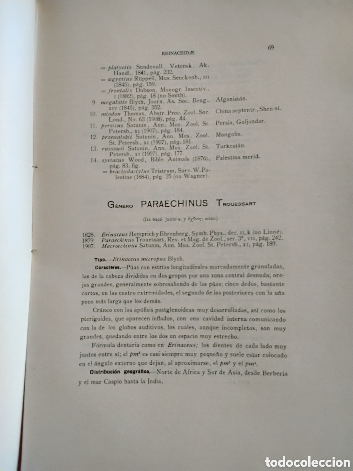 Libros antiguos: GENERA MAMMALIUM. INSECTIVORA GALEOPITHECIA. &Aacute;NGEL CABRERA. 1925 - Foto 8