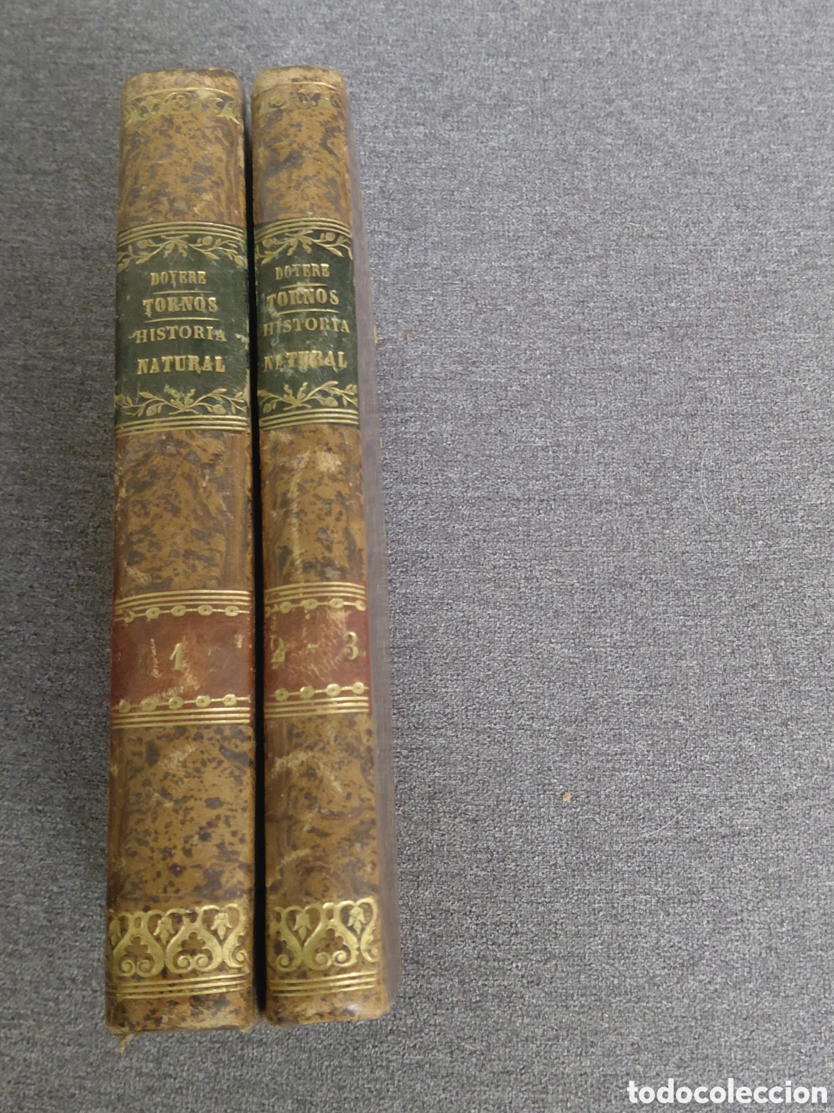 Libros antiguos: 1847 LECCIONES DE HISTORIA NATURAL AJUSTADAS Al Programa que para esta asignatura ha publicado y man