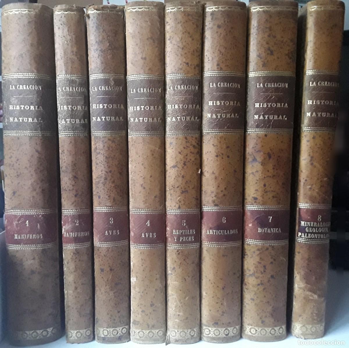 Libros antiguos: LA CREACI&Oacute;N. HISTORIA NATURAL. JUAN VILANOVA Y PIERA. PRIMERA EDICI&Oacute;N MONTANER Y SIM&Oacute;N. 1872 - 1876.