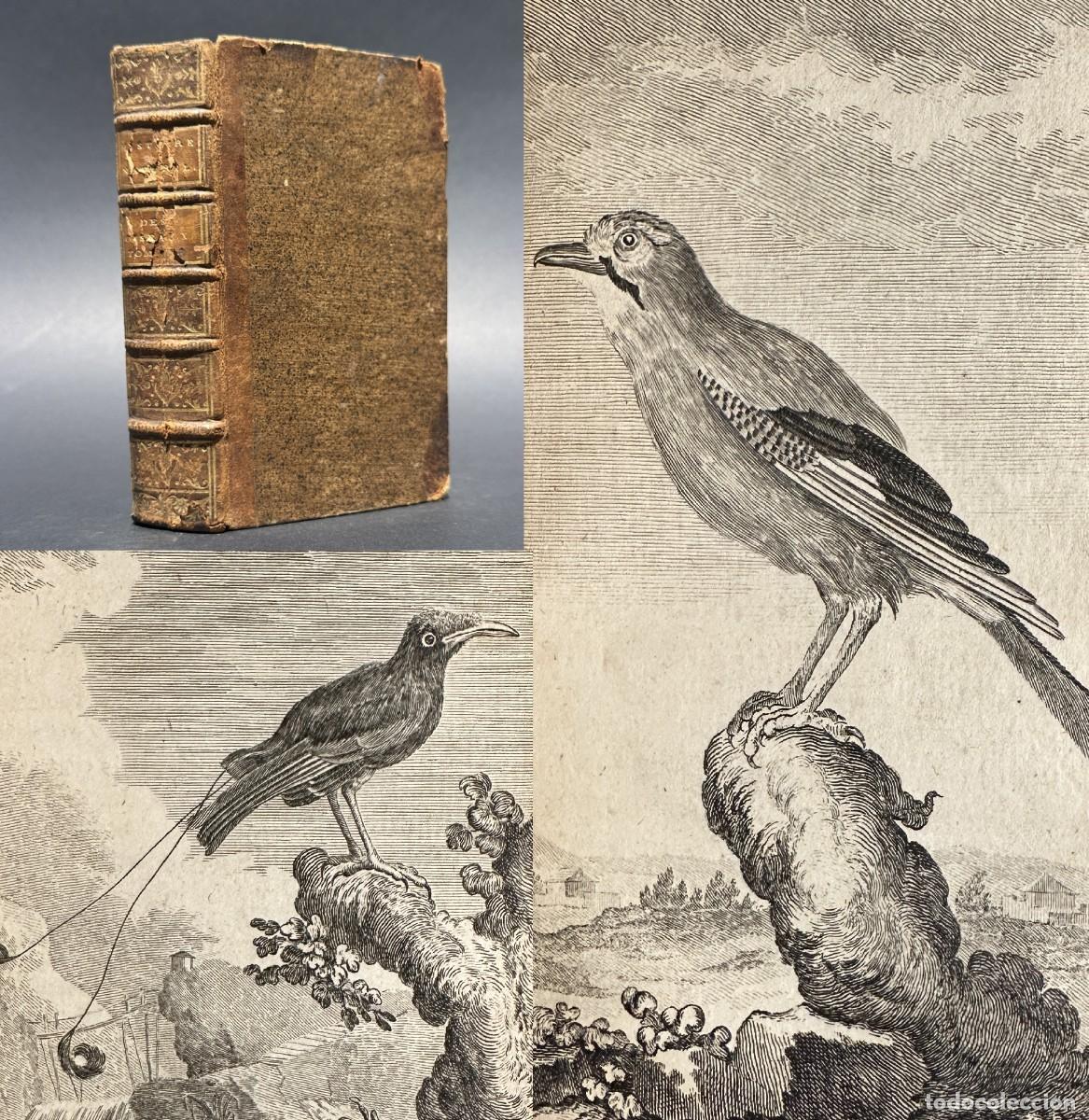 Libros antiguos: a&ntilde;o 1775 - HISTORIA NATURAL DE LAS AVES - ORNITOLOGIA - BUFFON - GRABADOS -