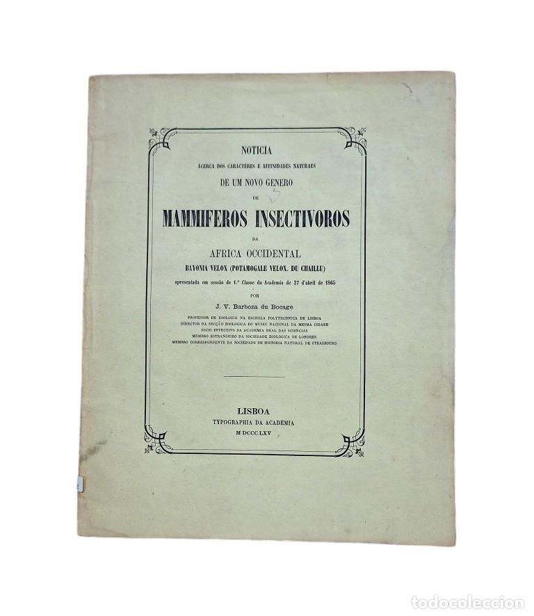 Libri antichi: MAMMIFEROS INSECTIVOROS (1865).- J. V. BARBOZA DU BACAGE