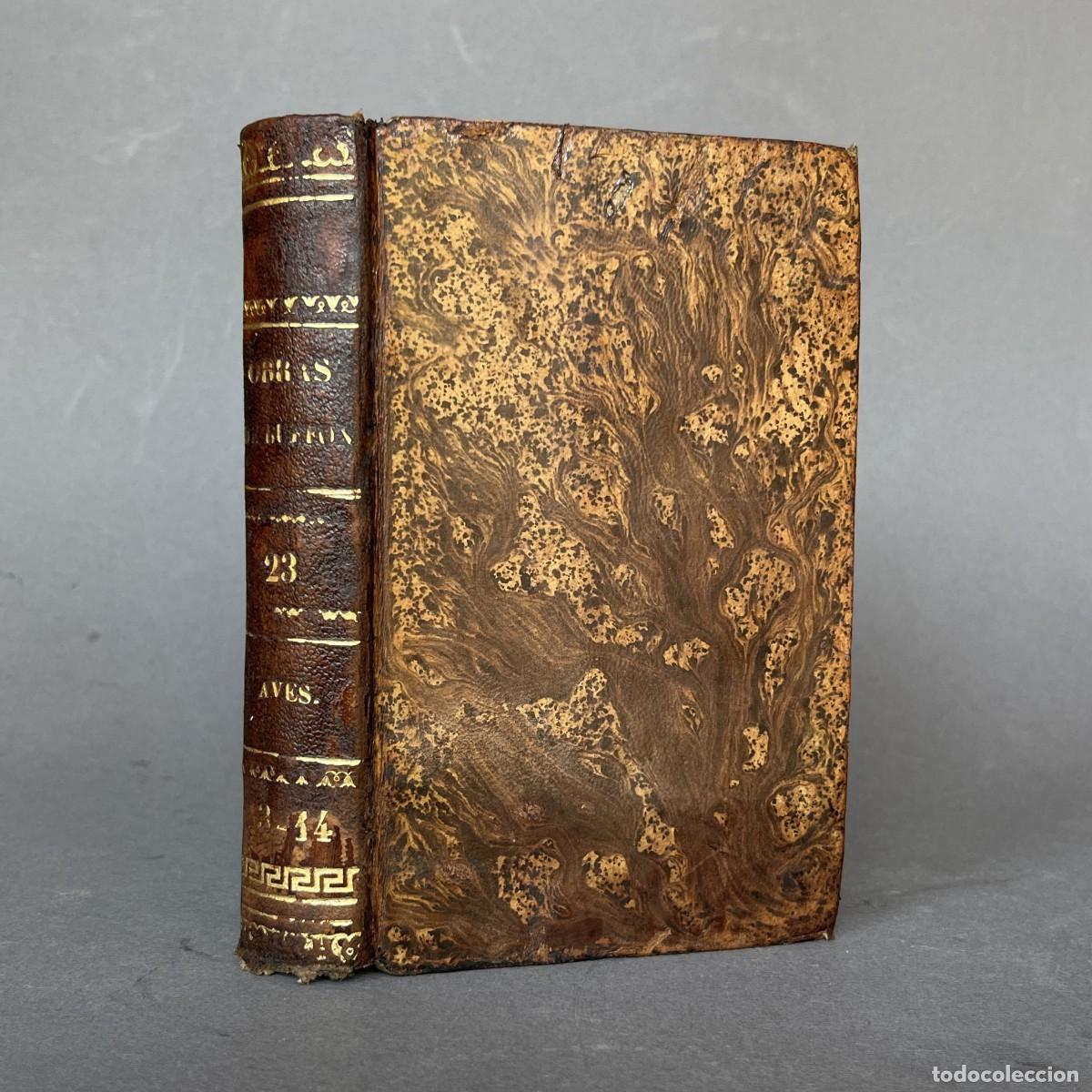 Libros antiguos: A&ntilde;o 1833 - Cuco - Golondrina - Abejaruco - OBRAS DE BUFFON - AVES - Historia natural