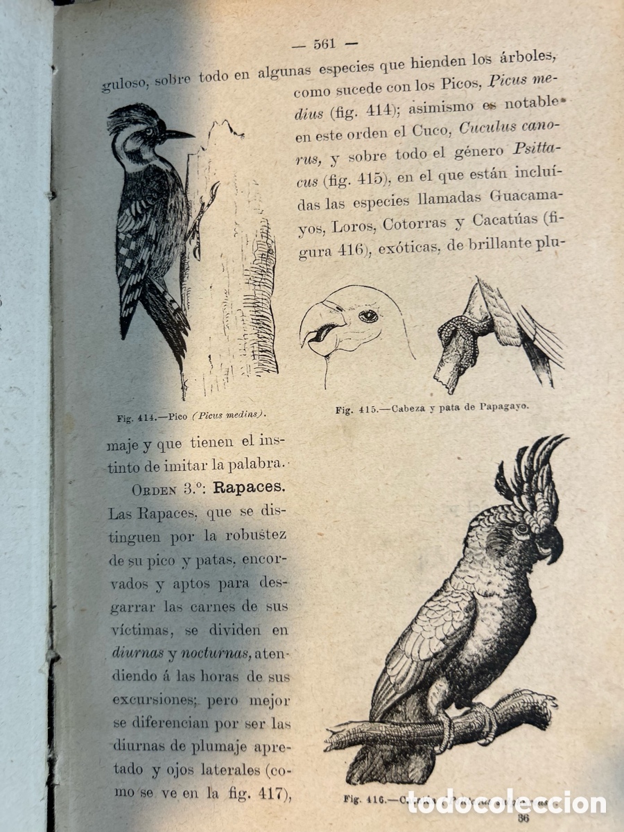 Libros antiguos: ELEMENTOS DE HISTORIA NATURAL - SERAFIN CASAS-A6 - Foto 3