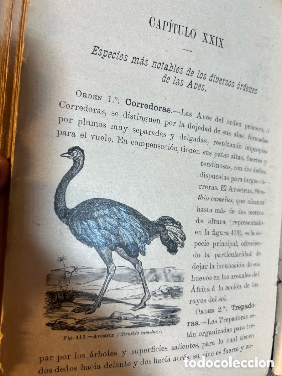 Libros antiguos: ELEMENTOS DE HISTORIA NATURAL - SERAFIN CASAS-A6 - Foto 4