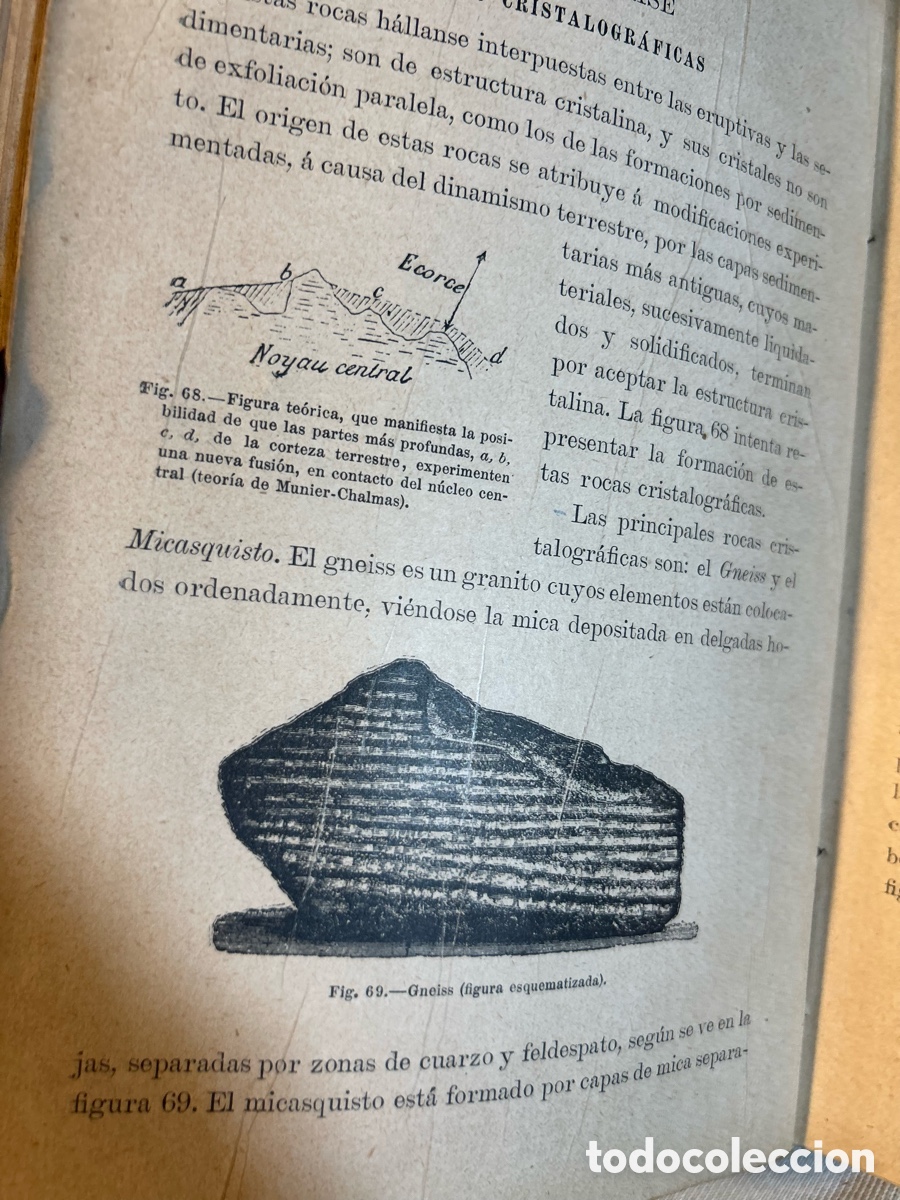 Libros antiguos: ELEMENTOS DE HISTORIA NATURAL - SERAFIN CASAS-A6 - Foto 6