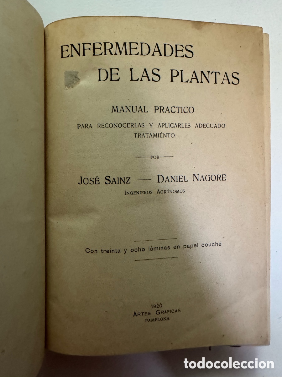 Libros antiguos: Vino espa&ntilde;ol: un incierto futuro, de Miguel A. Torres