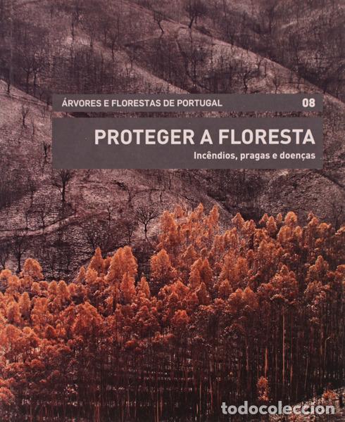 Libros antiguos: SILVA. (Joaquim Sande) - PROTEGER A FLORESTA: INC&Ecirc;NDIOS, PRAGAS E DOEN&Ccedil;AS.