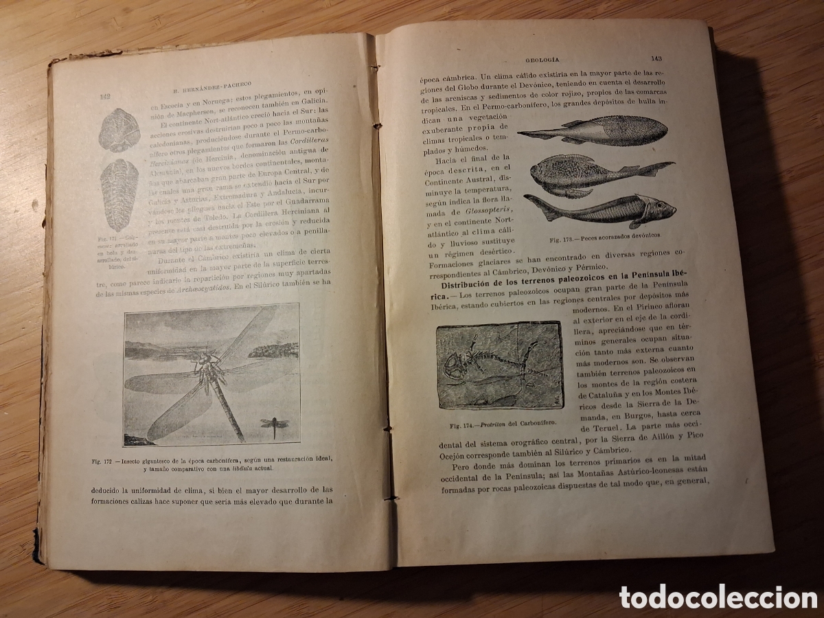 Libros antiguos: Compendio de Historia natural - Cazurro, Martinez y Fernandez-Castillo y Hernadez-Pacheco (1916)
