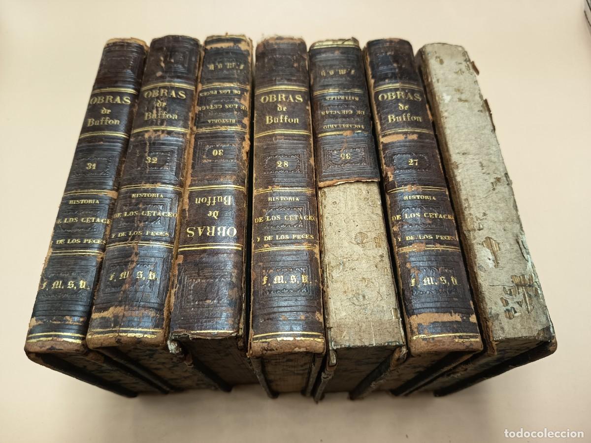 Libros antiguos: OBRAS COMPLETAS DE BUFFON 1848 ILUSTRADO