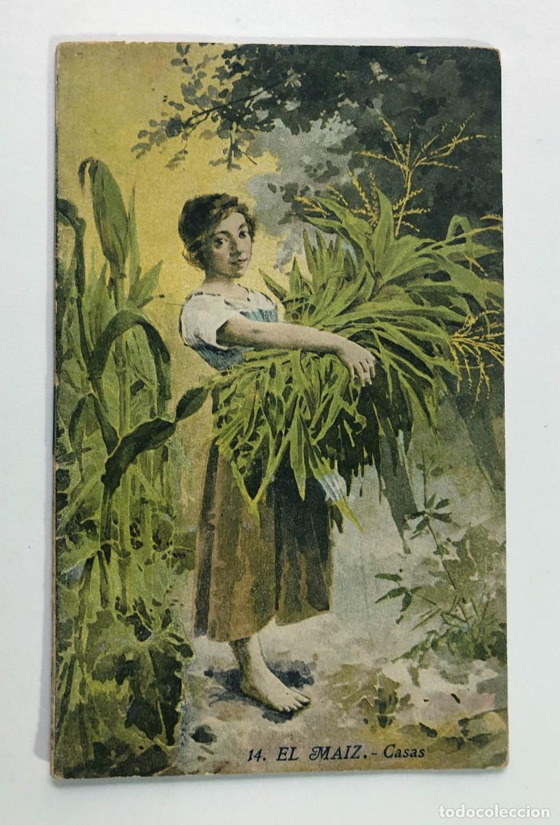 Libros antiguos: BIBLIOTECA MIRALLES / EL MAIZ / AGRICULTURA Y ZOOTECNIA / 16 P&Aacute;GINAS
