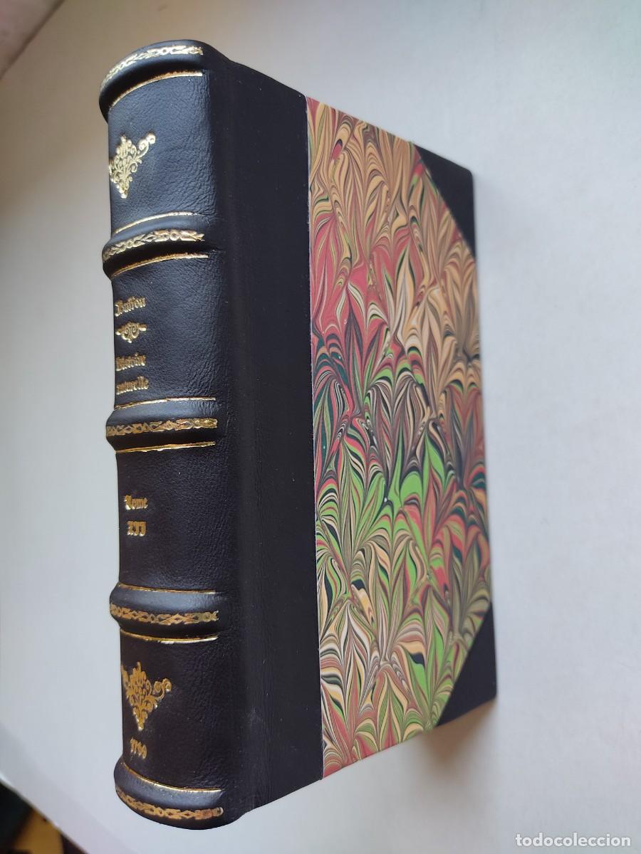 Antiquarische B&uuml;cher: Histoire naturelle (T. 12 - 1769) / Buffon. Historia natural. Grabados. Encuadernaci&oacute;n artesanal