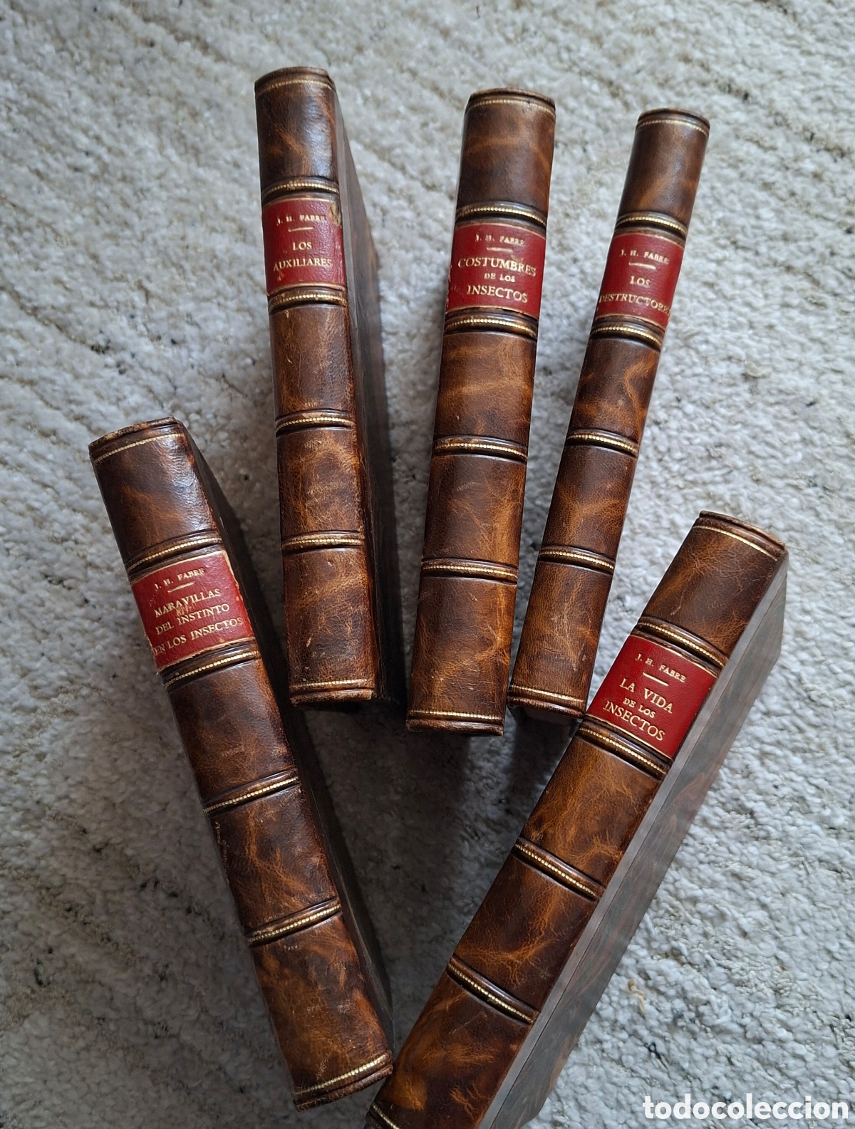 Antiquarische B&uuml;cher: Lote 5 Vol&uacute;menes - J. H. Fabre (Obras Entomol&oacute;gicas) - Ed. Espasa Calpe (1920-1940) - buen estado