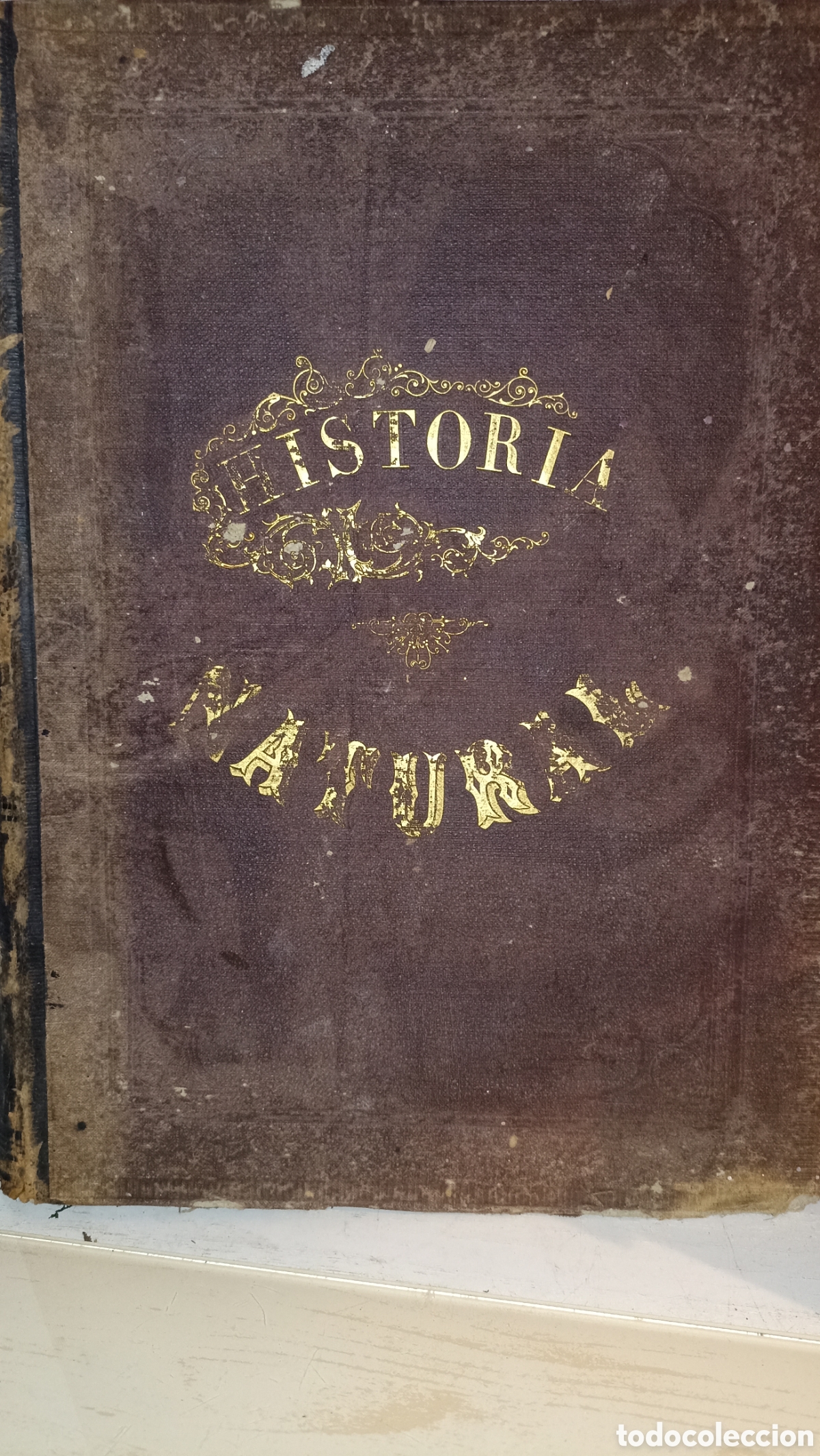 Libros antiguos: Libro Antiguo 1875 - La Creaci&oacute;n: Historia Natural (Tomo VI: Articulados)