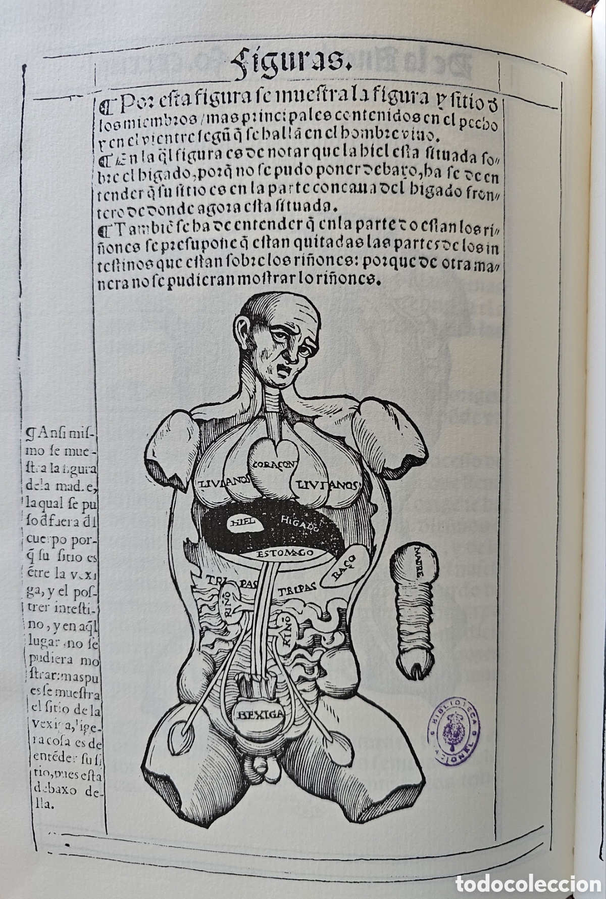 Libros antiguos: Lote con 3 facs&iacute;miles de Vicent Garc&iacute;a - Foto 5