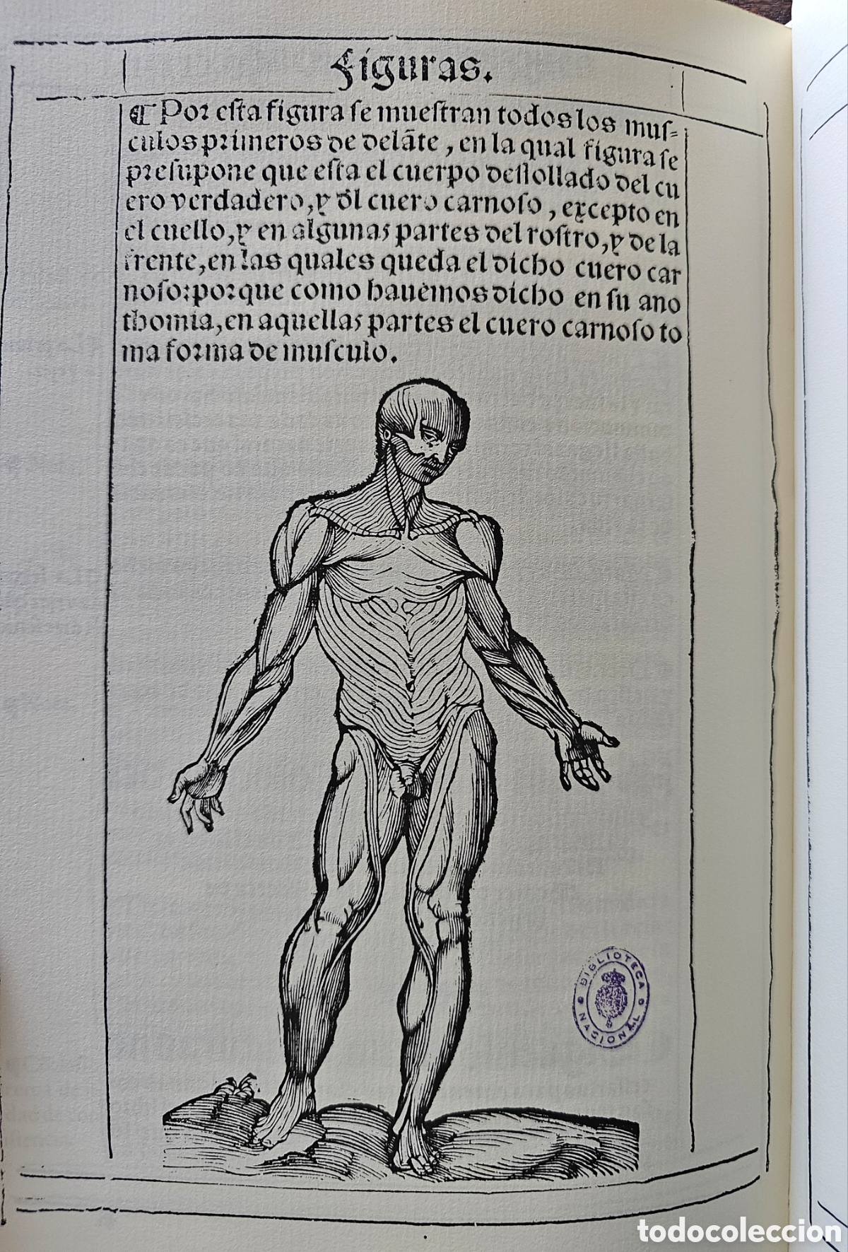 Libros antiguos: Lote con 3 facs&iacute;miles de Vicent Garc&iacute;a - Foto 6