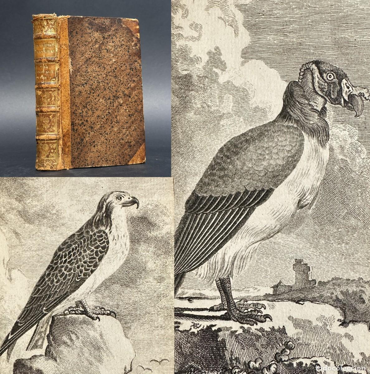 Libros antiguos: a&ntilde;o 1770 - ORNITOLOGIA - AVES - BUITRE - AGUILA - HISTORIA NATURAL - GRABADOS