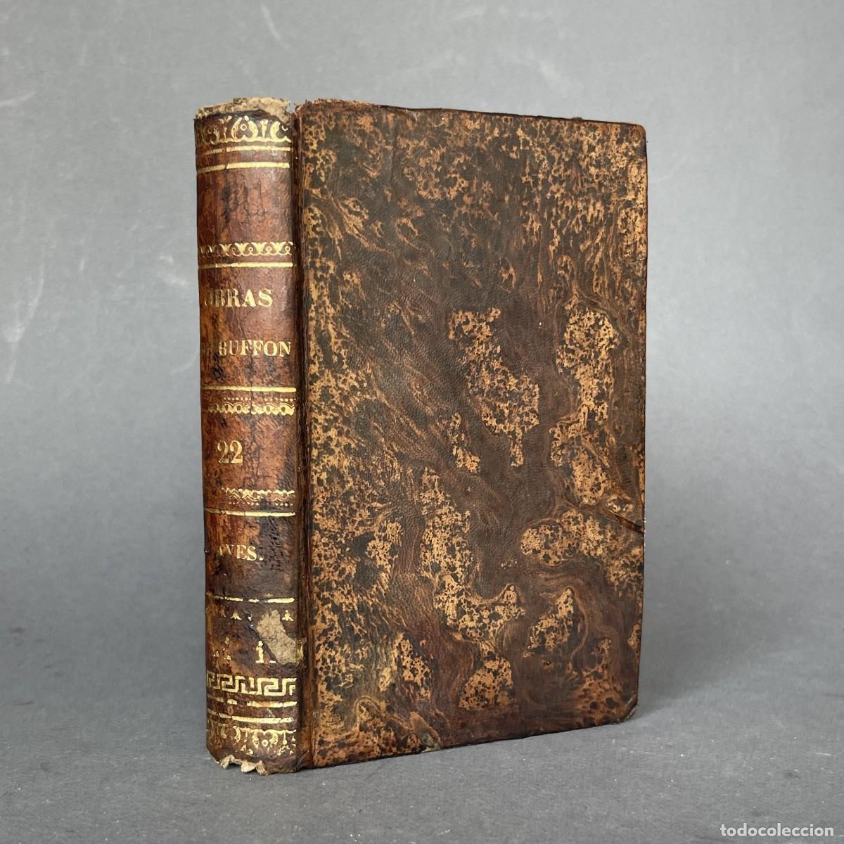Libros antiguos: A&ntilde;o 1833 - OBRAS DE BUFFON - AVES - Loro - Papagayo - Cacat&uacute;a - Cotorra - Ornitolog&iacute;a