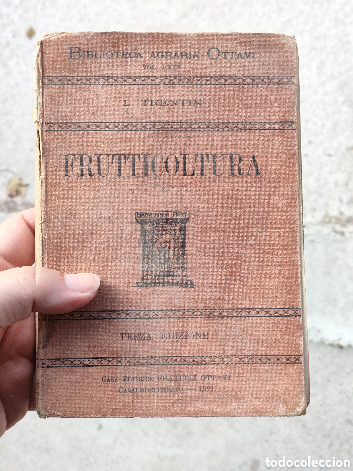 Libros antiguos: Frutticoltura. L. Trentin. Edici&oacute;n de 1921