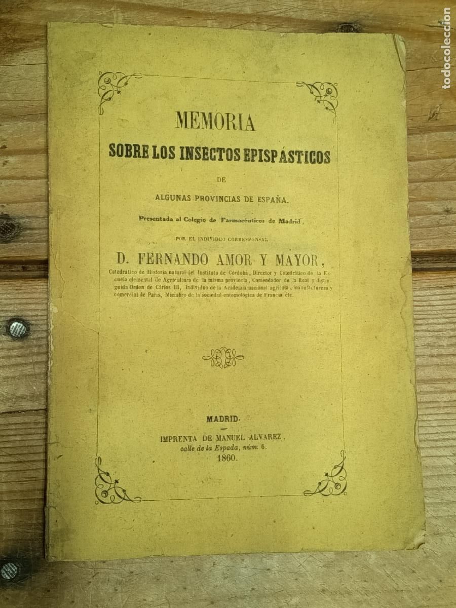 Libros antiguos: 1860 - FERNANDO AMOR Y MAYOR. Memoria sobre los insectos episp&aacute;sticos