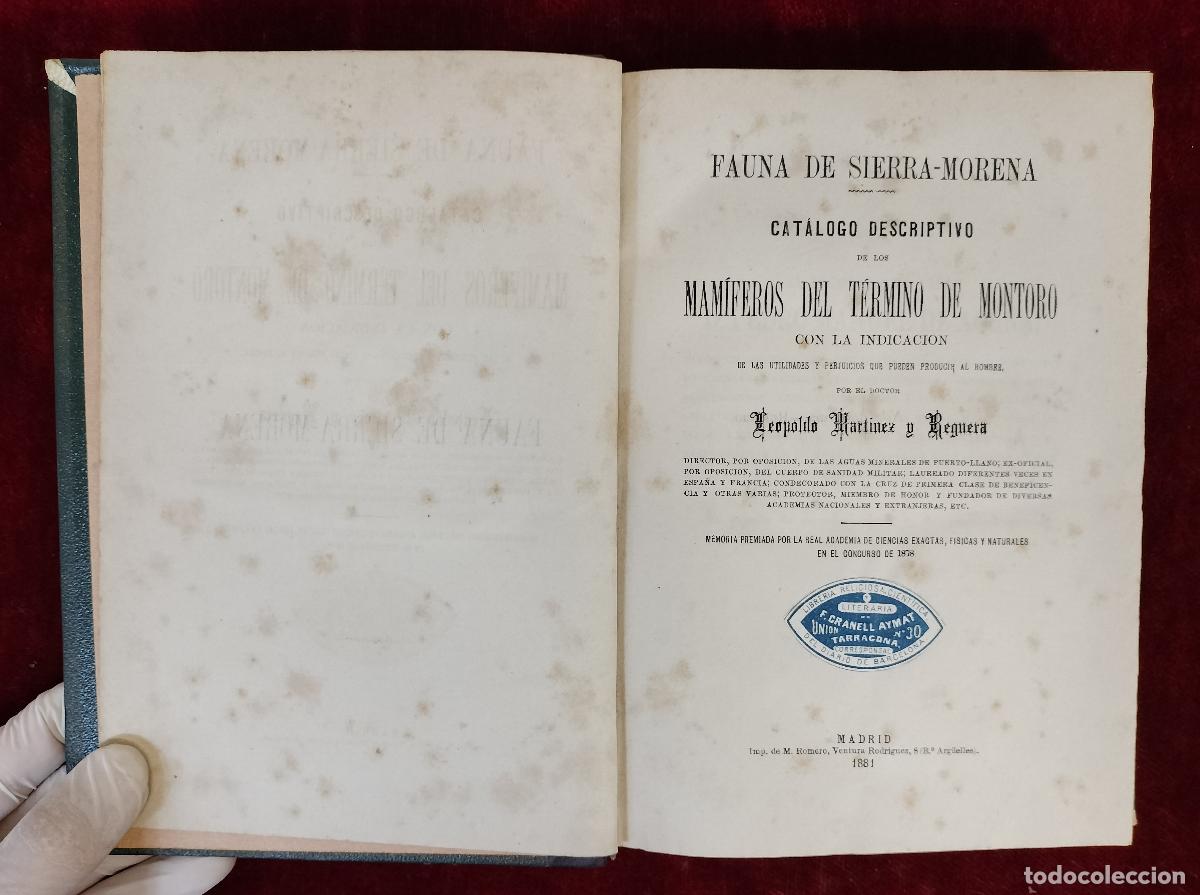Libros antiguos: FAUNA DE SIERRA-MORENA. CAT&Aacute;LOGO DESCRIPTIVO. LEOPOLDO MART&Iacute;NEZ. MADRID. M. ROMERO. 1881
