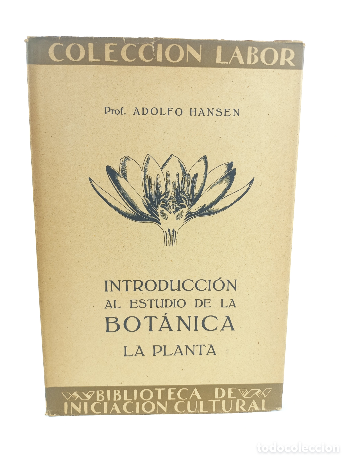Libros antiguos: Introducci&oacute;n al estudio de la Bot&aacute;nica. La Planta. Adolfo Hansen. Labor. Ilustrado.