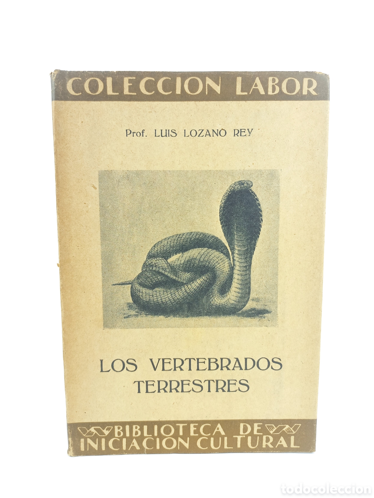 Libros antiguos: Los vertebrados terrestres. Luis Lozano Rey. Labor, primera edici&oacute;n, 1931. Ilustrado.