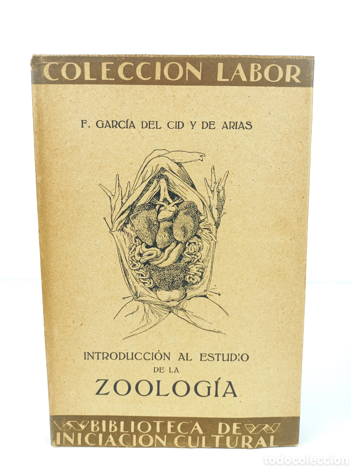 Libros antiguos: Introducci&oacute;n al estudio de la Zoolog&iacute;a. Garc&iacute;a del Cid. Labor, primera edici&oacute;n, 1928. Ilustrado.