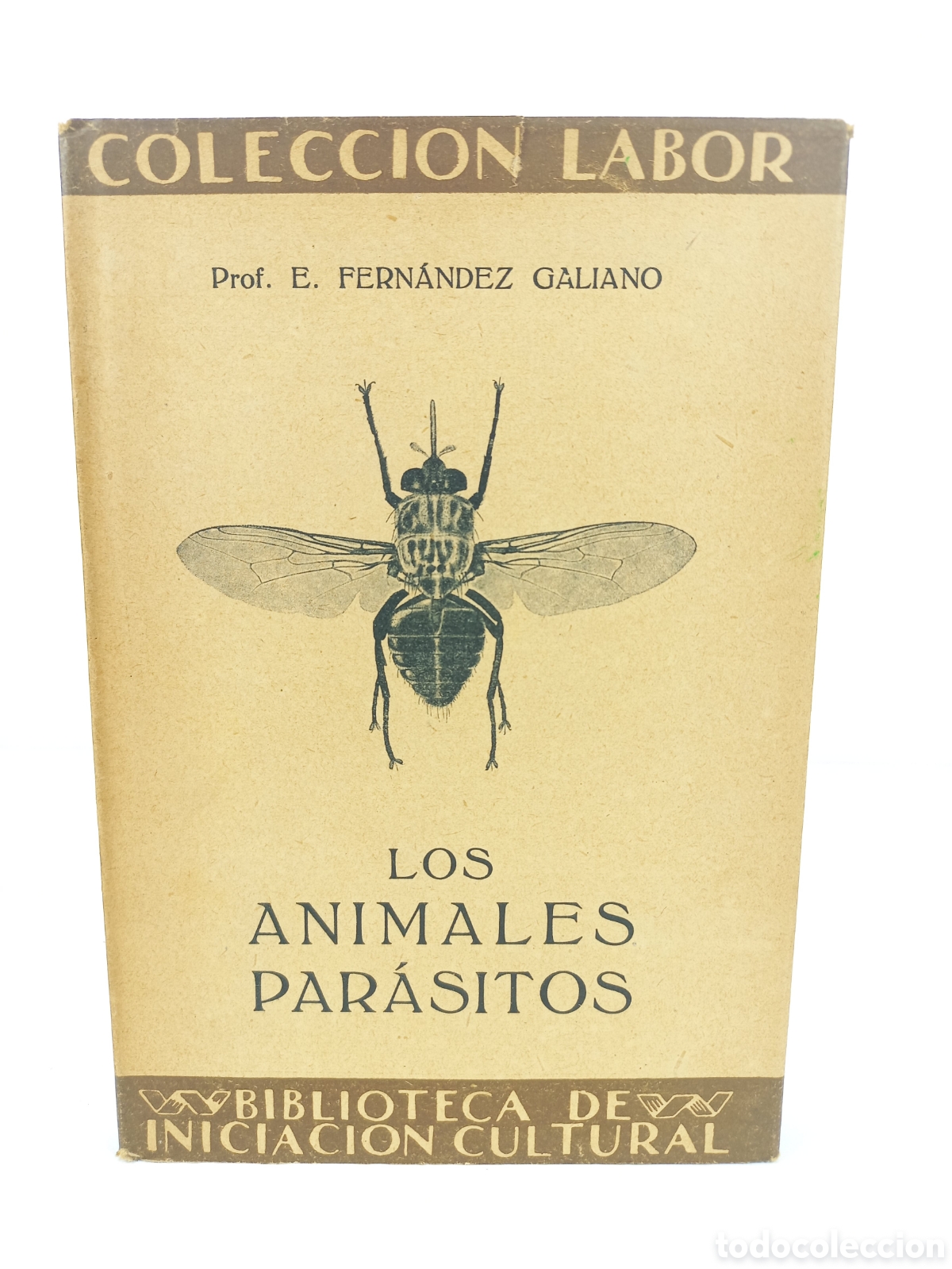 Libros antiguos: Los animales par&aacute;sitos. Fern&aacute;ndez Galiano. Labor, primera edici&oacute;n, 1928. Ilustrado.
