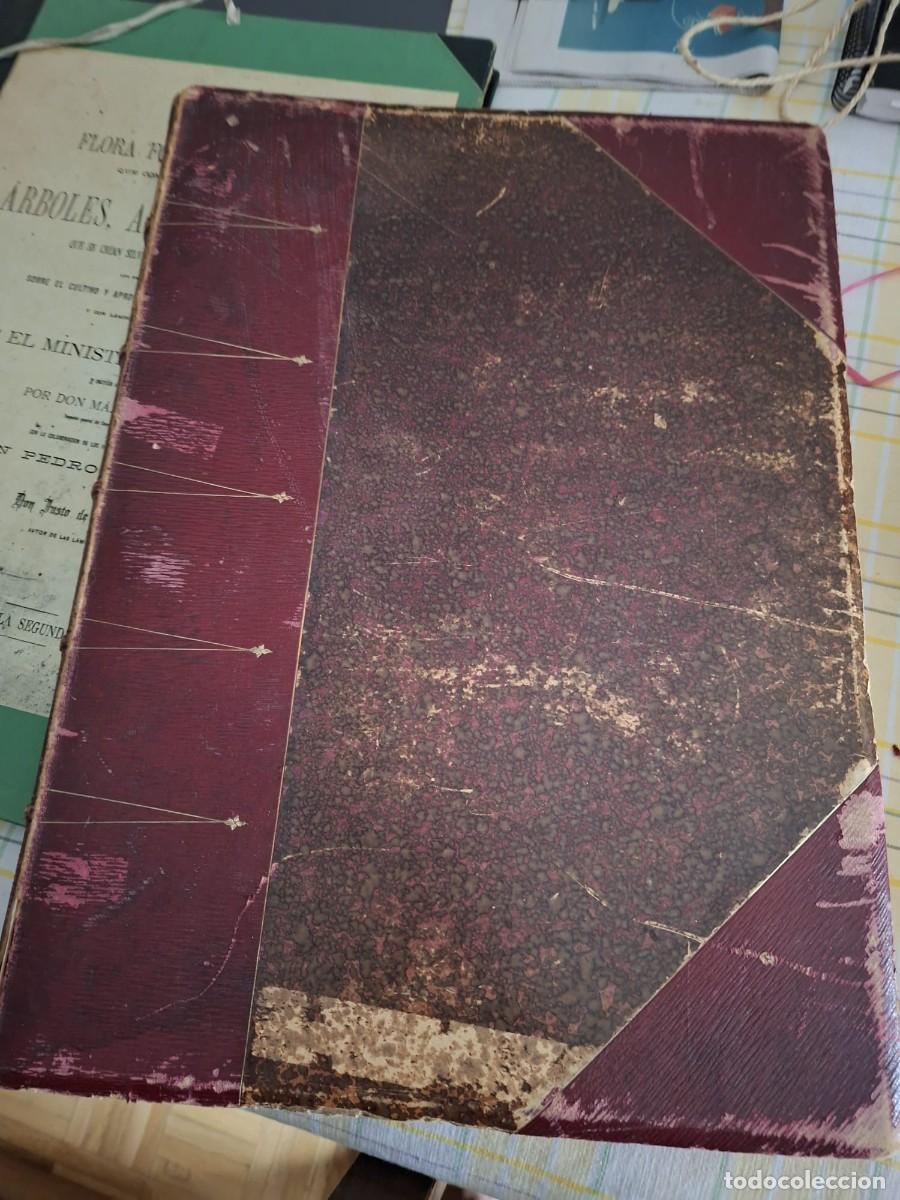 Libros antiguos: FLORA FORESTAL ESPA&Ntilde;OLA que comprende la descripci&oacute;n de los &aacute;rboles, arbustos y mata. M&Aacute;XIMO LAGUNA.