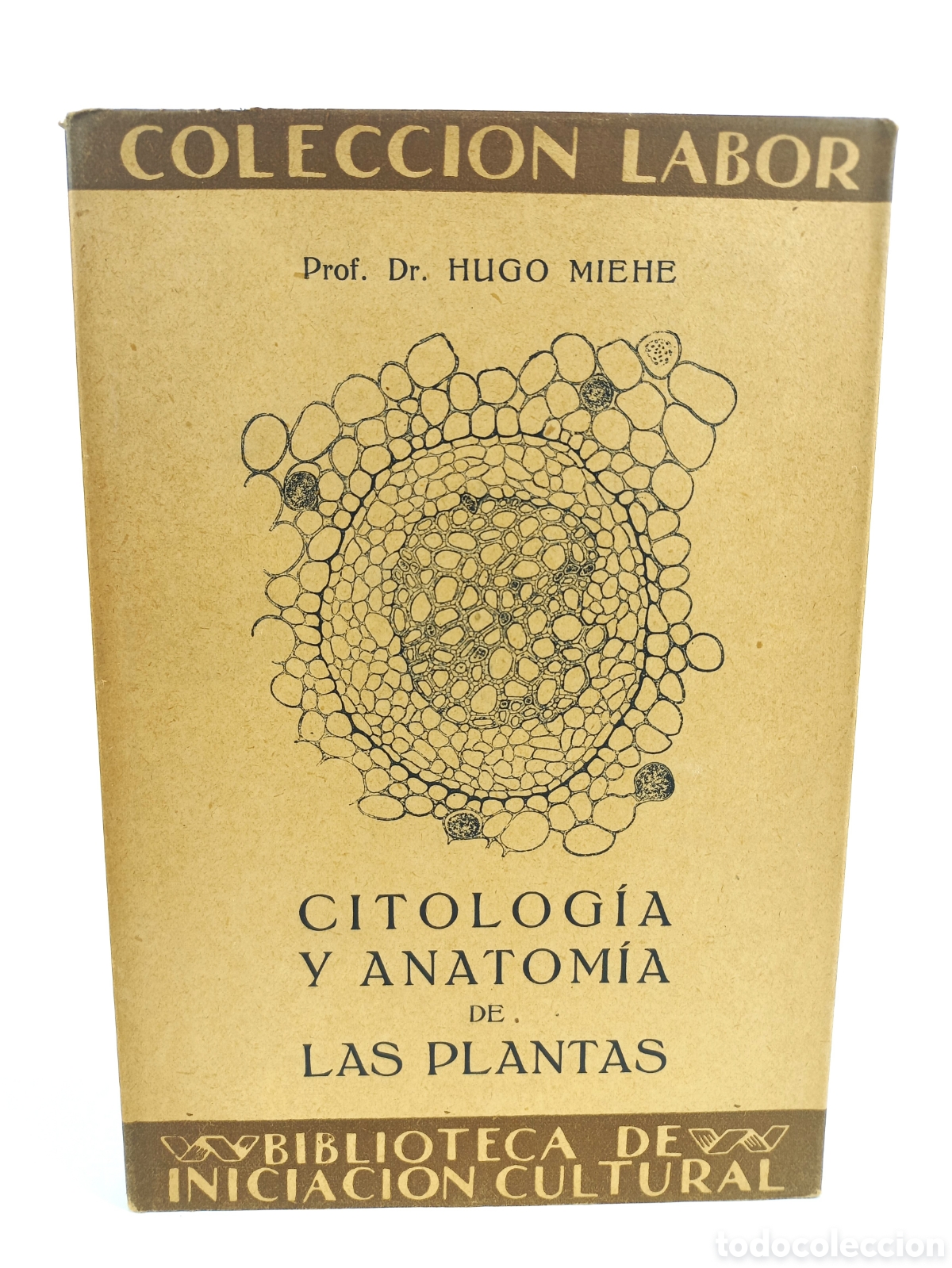 Libros antiguos: Citolog&iacute;a y anatom&iacute;a de las plantas. Hugo Miehe. Labor, primera edici&oacute;n, 1928. Ilustrado.