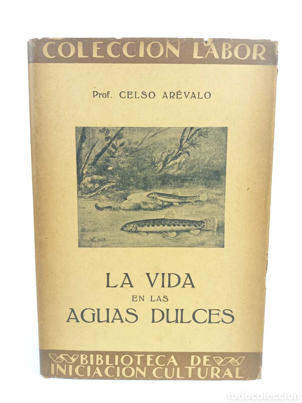 Libros antiguos: La vida en las aguas dulces. Celso Ar&eacute;valo. Labor, primera edici&oacute;n, 1929. Ilustrado.