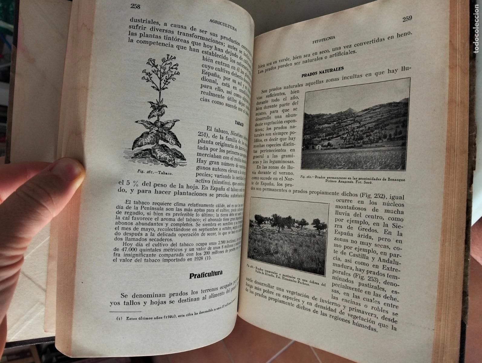 Libros antiguos: Libro de Agricultura Antiguo. Bartolome Darder, Tarragona, 1935. VISITA MI CATALOGO
