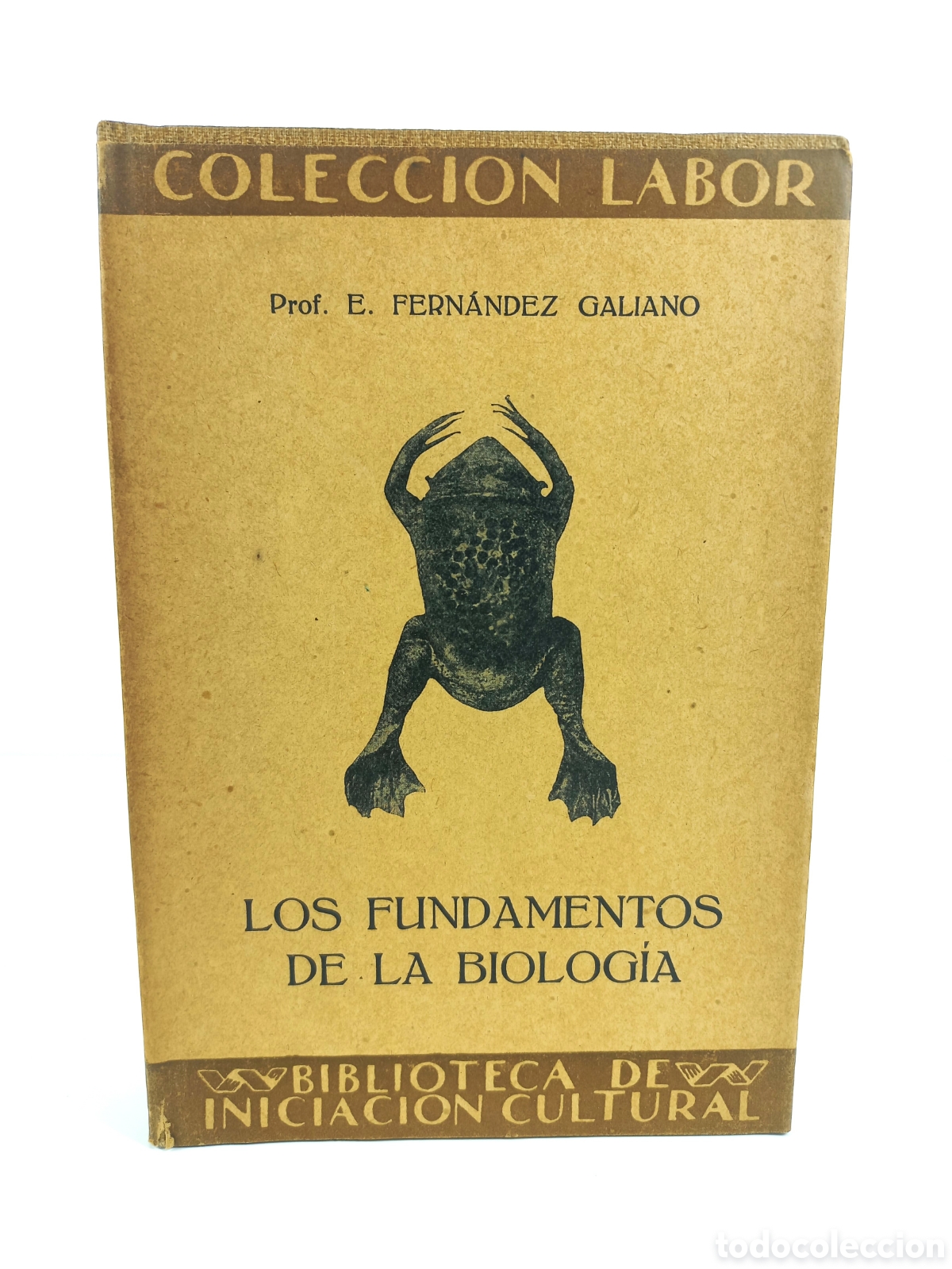 Libros antiguos: Los Fundamentos de la Biolog&iacute;a. Fern&aacute;ndez Galiano. Labor, primera edici&oacute;n, 1929. Ilustrado.