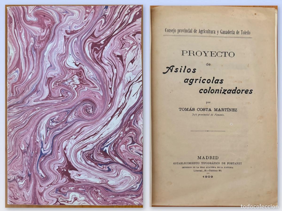Libros antiguos: TOLEDO- PROYECTO DE ASILOS COLONIZADORES- TOMAS COSTA MARTINEZ- 1909