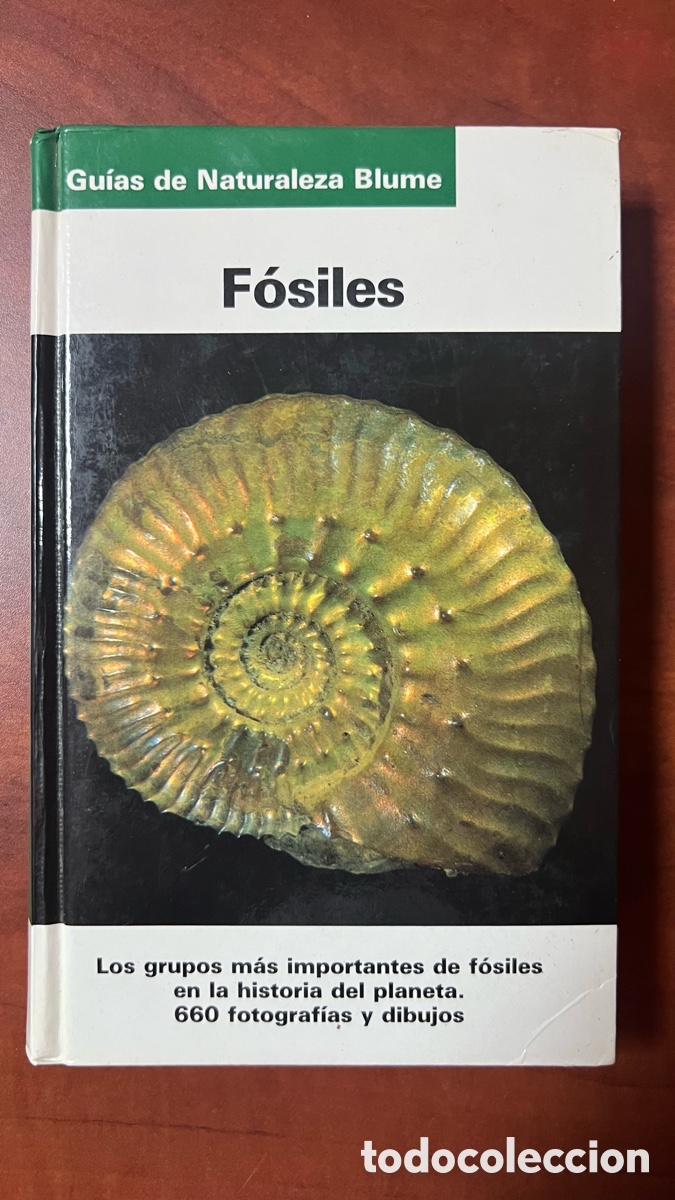 Libros antiguos: GUIA DE NATURALEZA BLUME. FOSILES